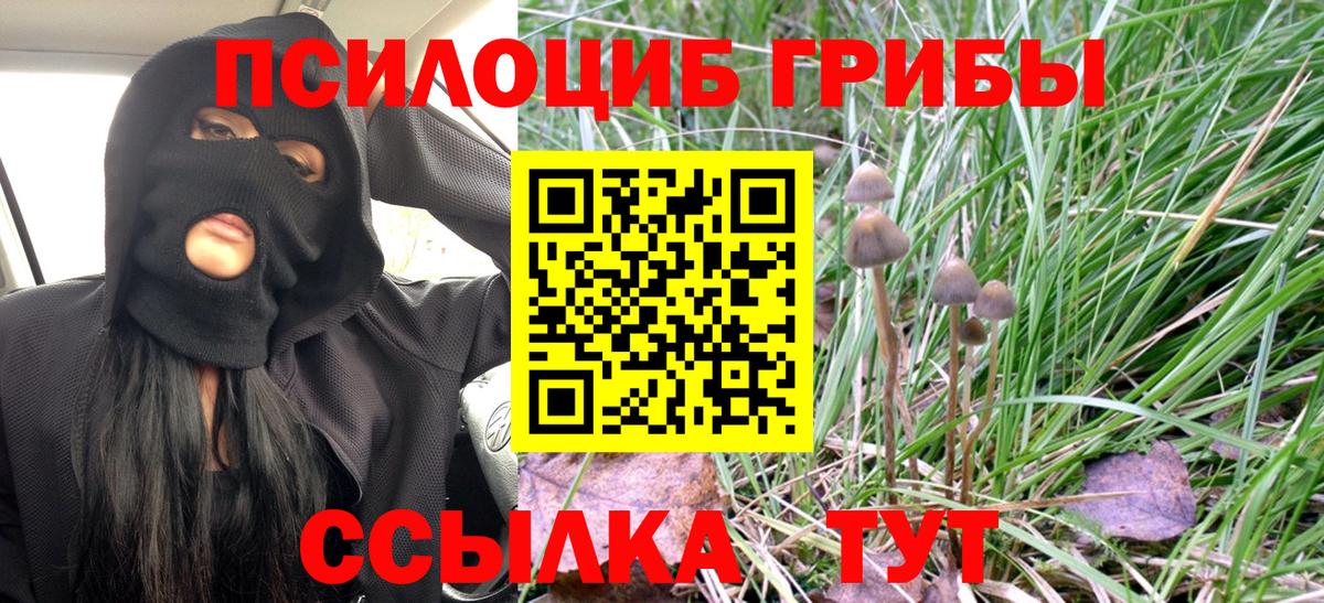 Россия  Псилоцибиновые грибы Magic Shrooms  Вход с VPN  Псилоцибиновые грибы MAGIC MUSHROOMS 