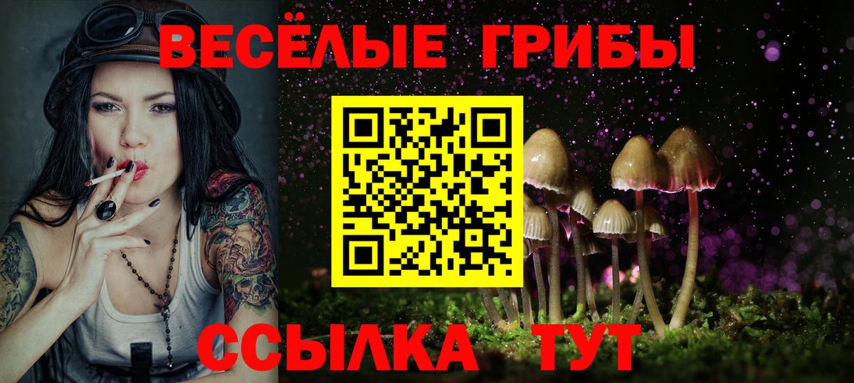 Галлюциногенные грибы MAGIC MUSHROOMS Россия