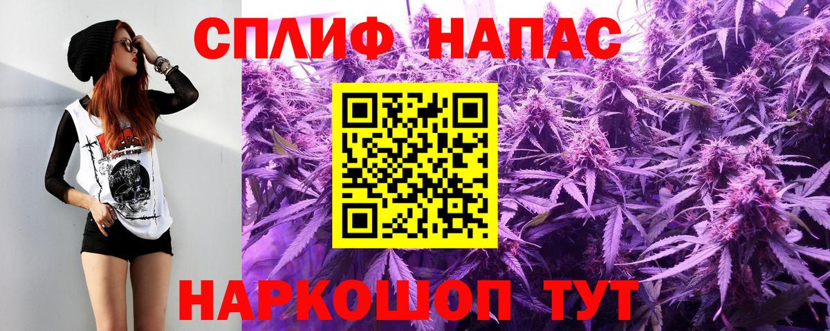 Конопля гибрид Россия
